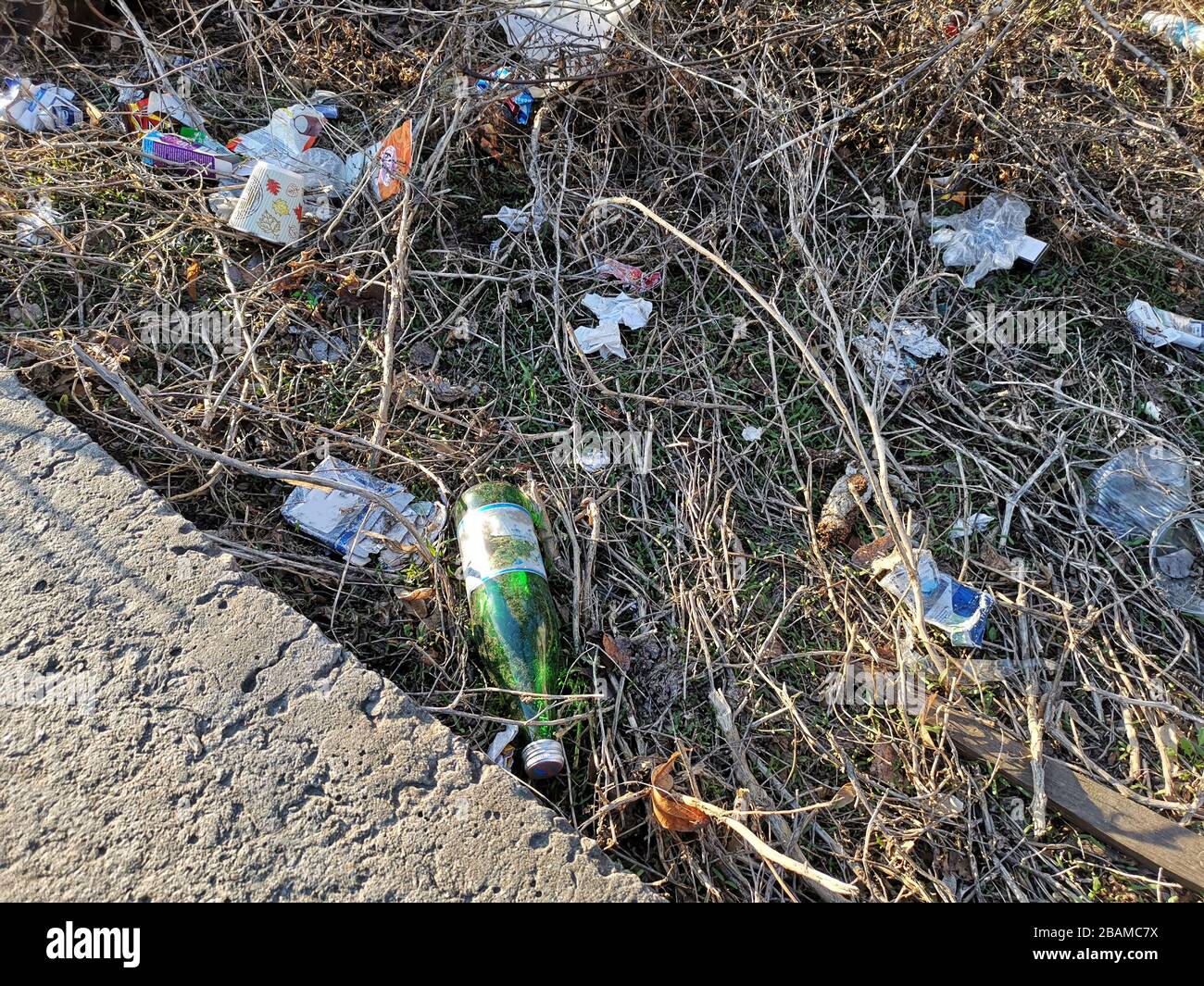 Müllhalde auf dem trockenen Gras. Stockfoto