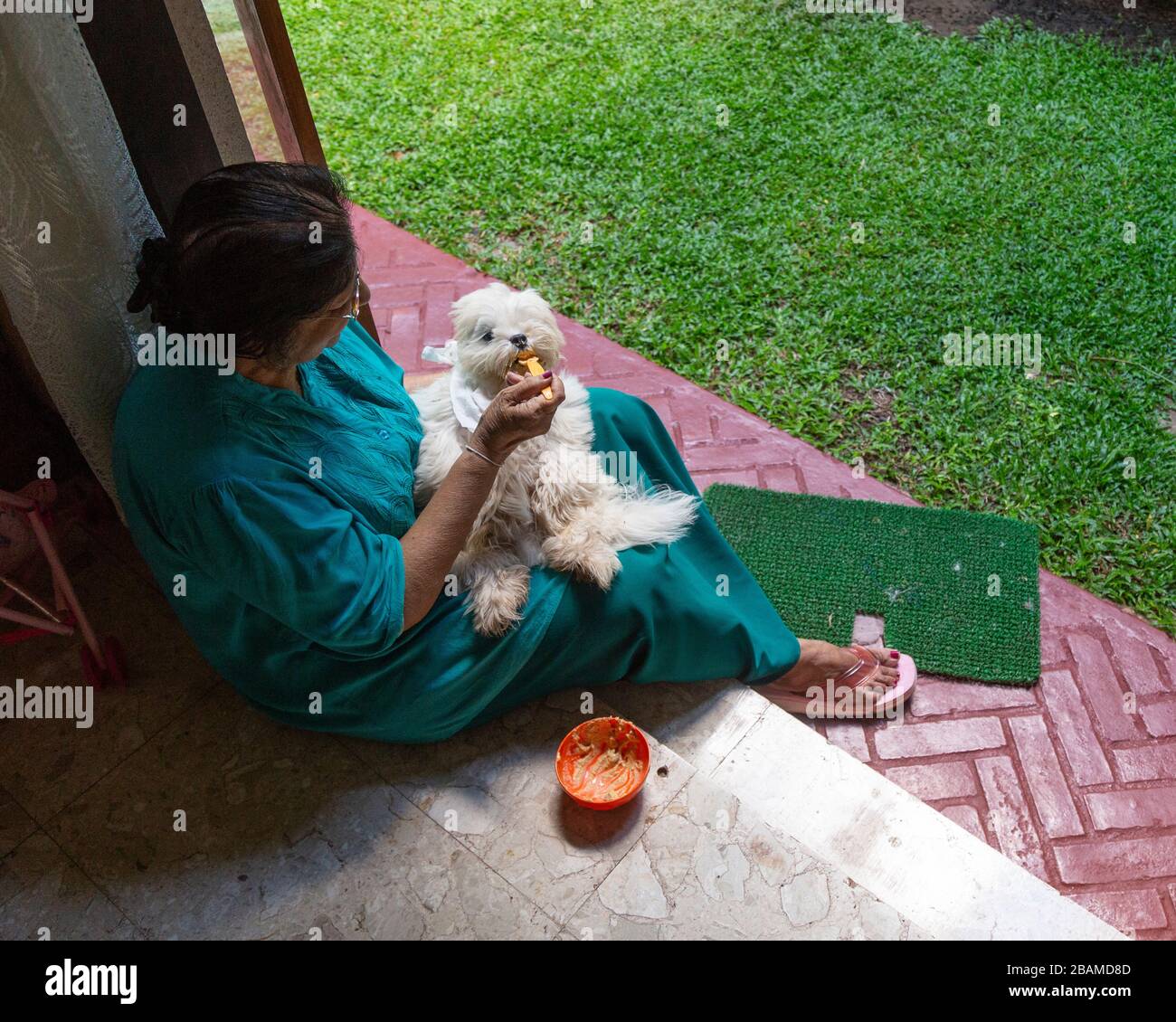 Einheimische Frau spoon-feeding ihren Haustierhund in Colombo, Sri Lanka Stockfoto