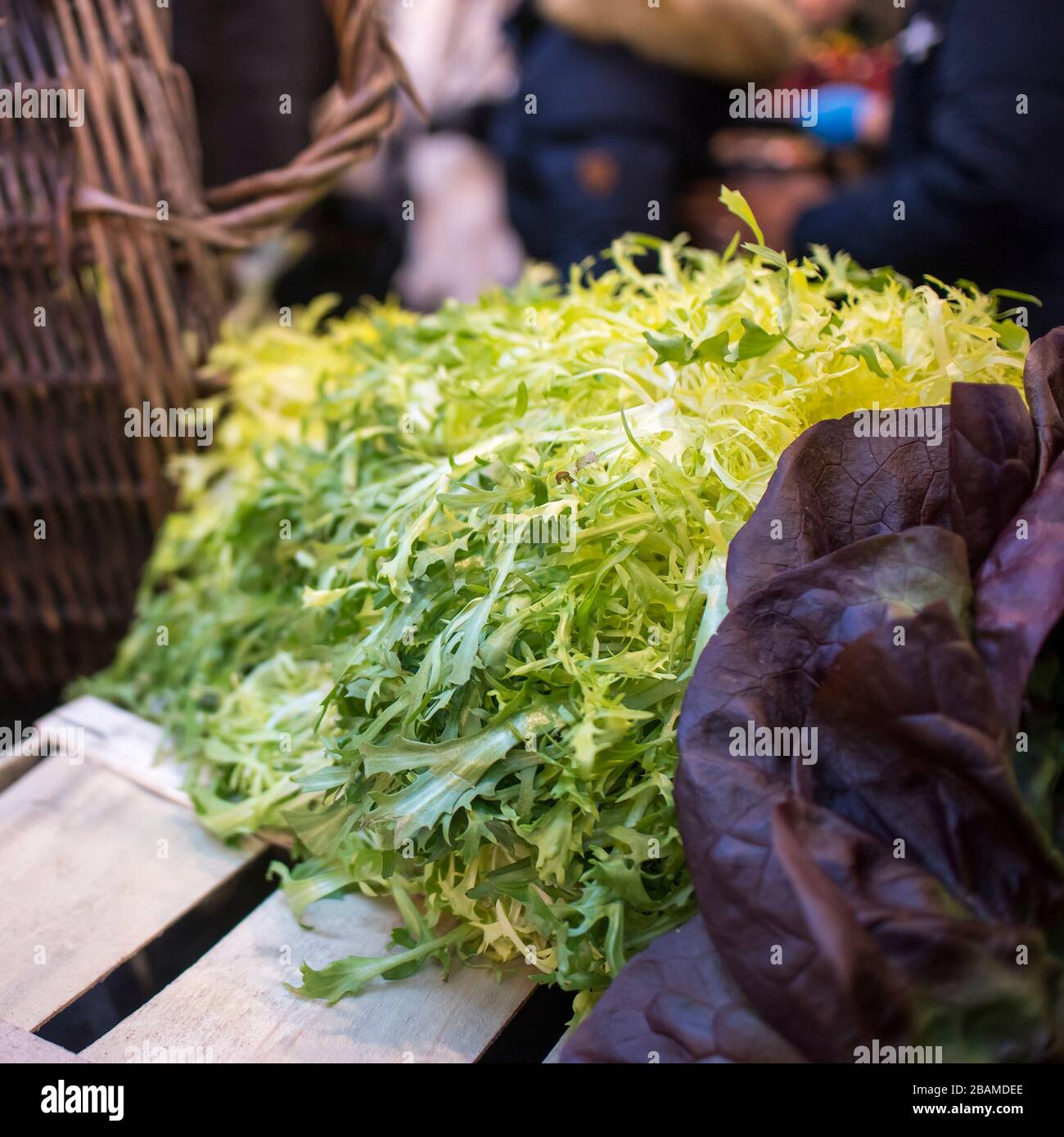 Friseesalat mit rotem Eichensalat auf dem Stall auf einem Bauernmarkt Stockfoto