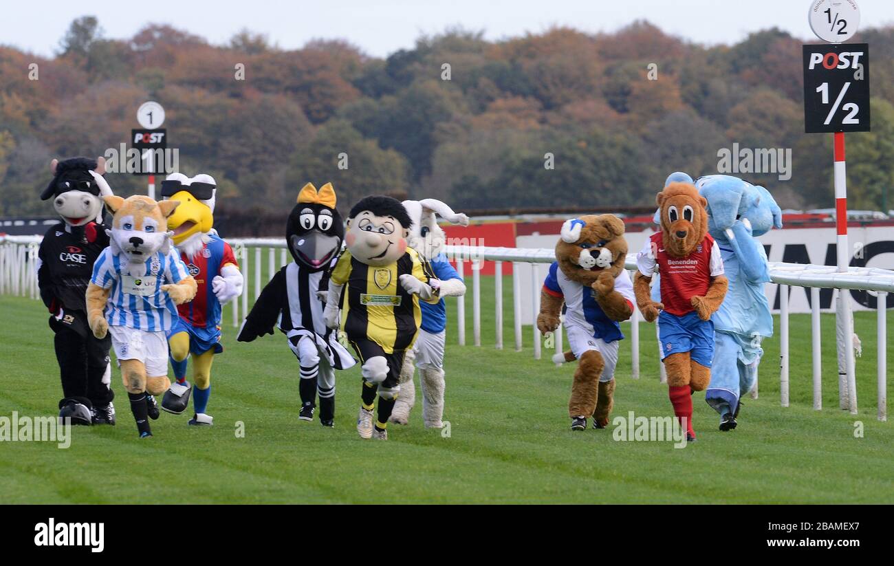 Einige der Läufer im Maskottchen-Rennen der Football League unterstützen Prostate Cancer UK. Der spätere Sieger Yorkie the Lion des FC York City (zweiter von rechts) Stockfoto