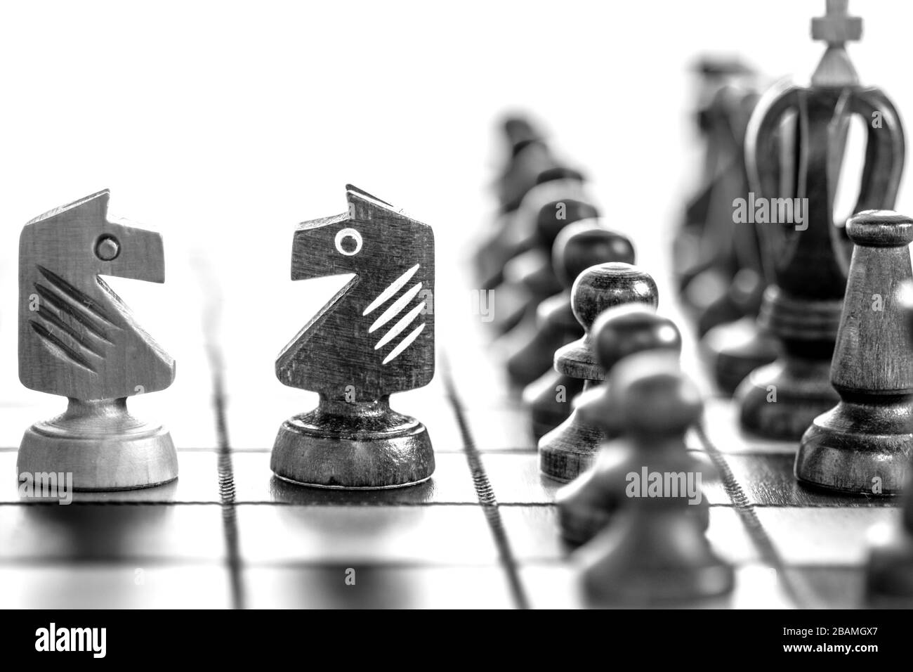 Schachfiguren aus Holz auf einem Schachbrett. Schwarz-weißes Schach auf Schachbrett, in weißem Hintergrund. Schachpferd an Bord. Stockfoto