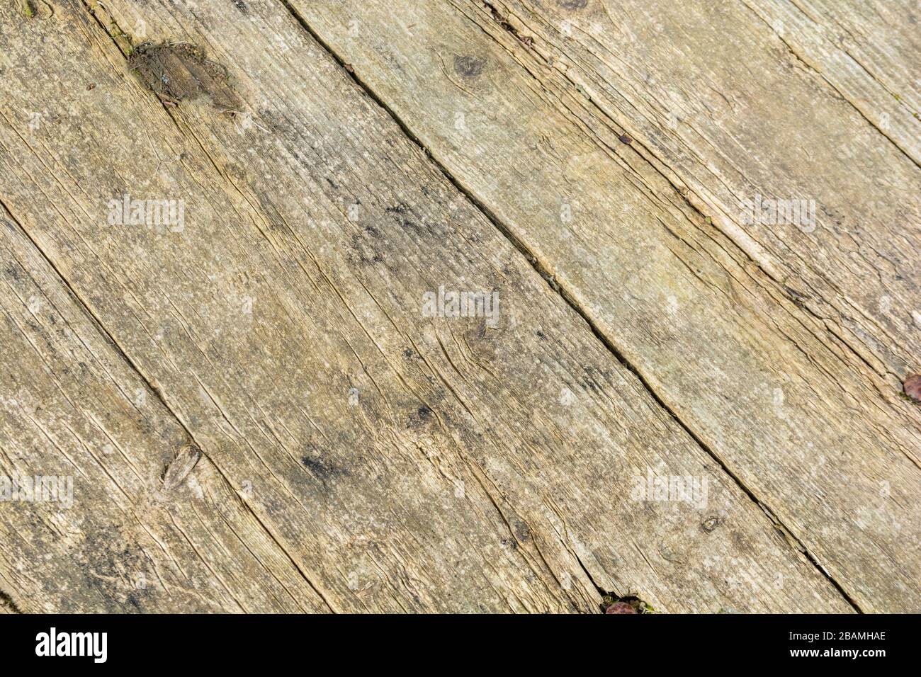 Verwitterte Holzlatten eines Bauernhof-Anhängers. Anzeichen von Verwitterung und Alterung. Hintergrund mit Holzlatt-Struktur, Konzept mit geraden Linien. Stockfoto