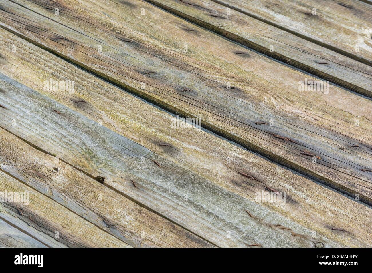 Verwitterte Holzlatten eines Hühnerkoop-Dachs auf einem Bauernhof. Anzeichen von Verwitterung und Alterung. Hintergrund mit Holzlatt-Struktur, Konzept mit geraden Linien. Stockfoto