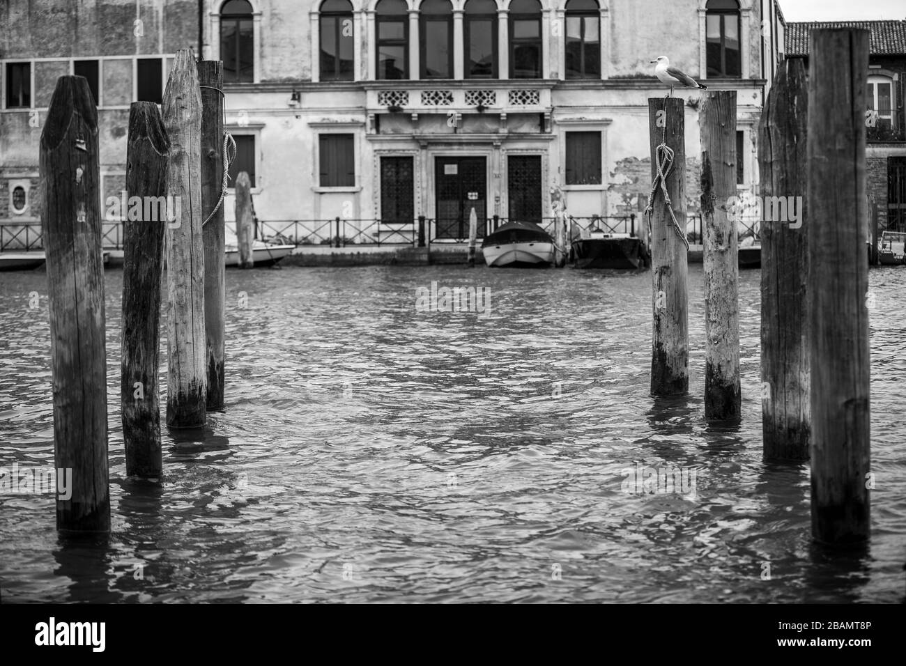 Venedig-Gebäude Stockfoto