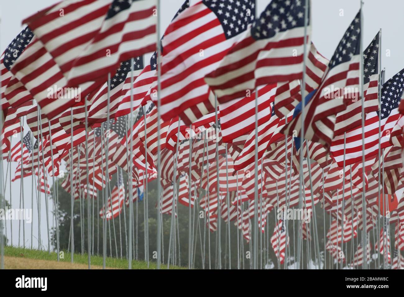 Sammlung von US-Flaggen Stockfoto
