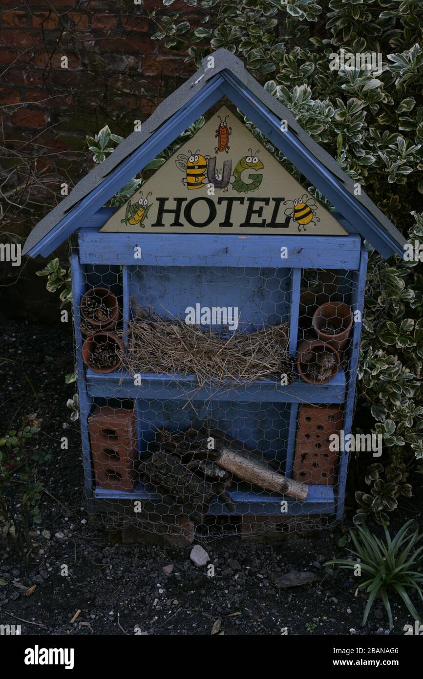 Das Bug Hotel bleibt während der COVID-19-Coronavirus-Pandemie, Beverley, East Riding of Yorkshire, in der toll Gavel Kirche geöffnet Stockfoto