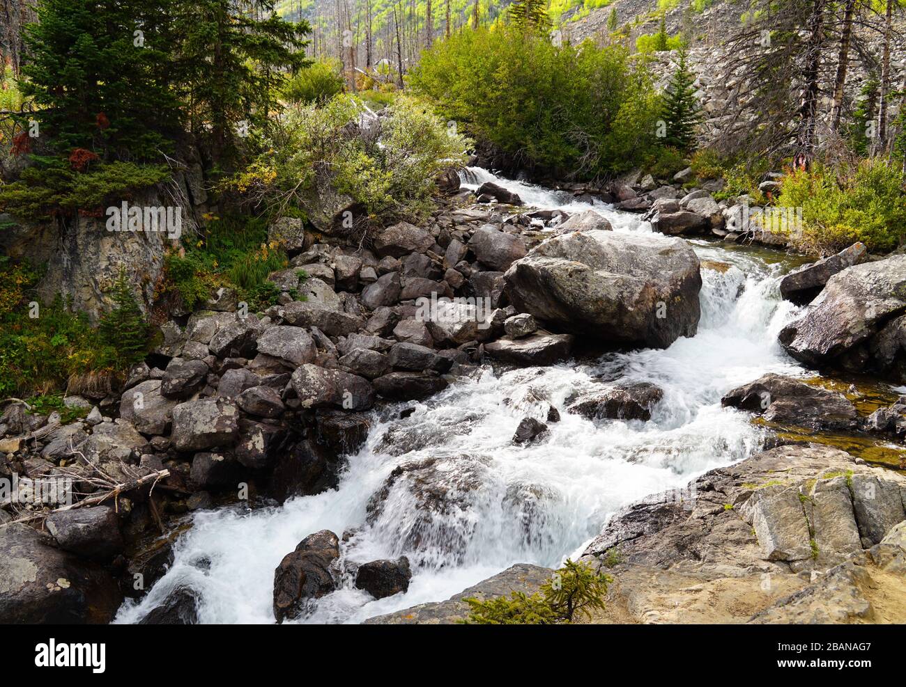 Ein schöner Bergwasserfall zieht sich durch einen Wald mit den wechselnden Farben des Herbstes. Stockfoto