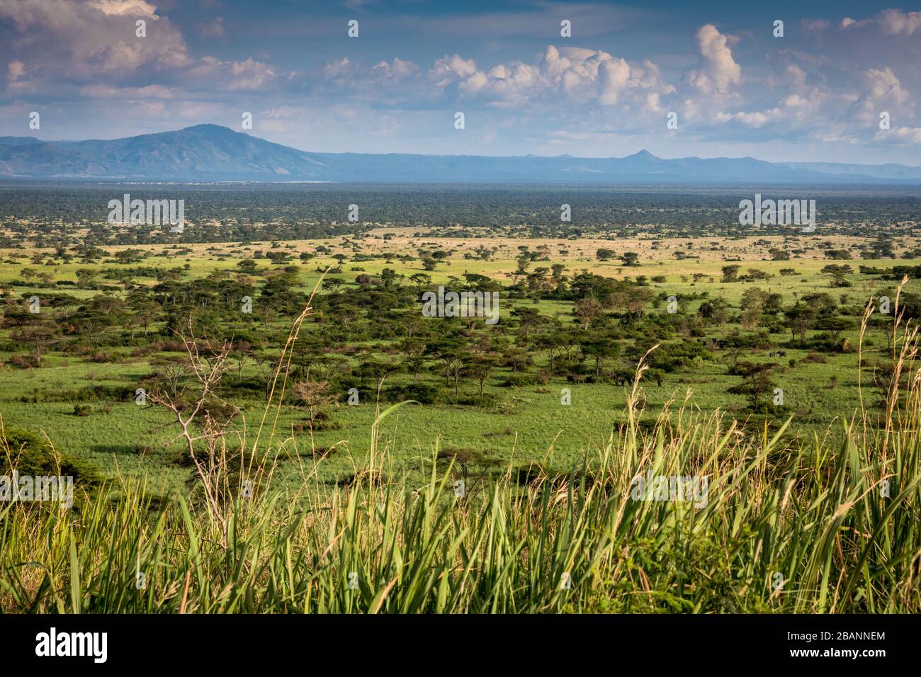 Das ostafrikanische Rift-Tal im Queen Elizabeth National Park, Uganda Stockfoto