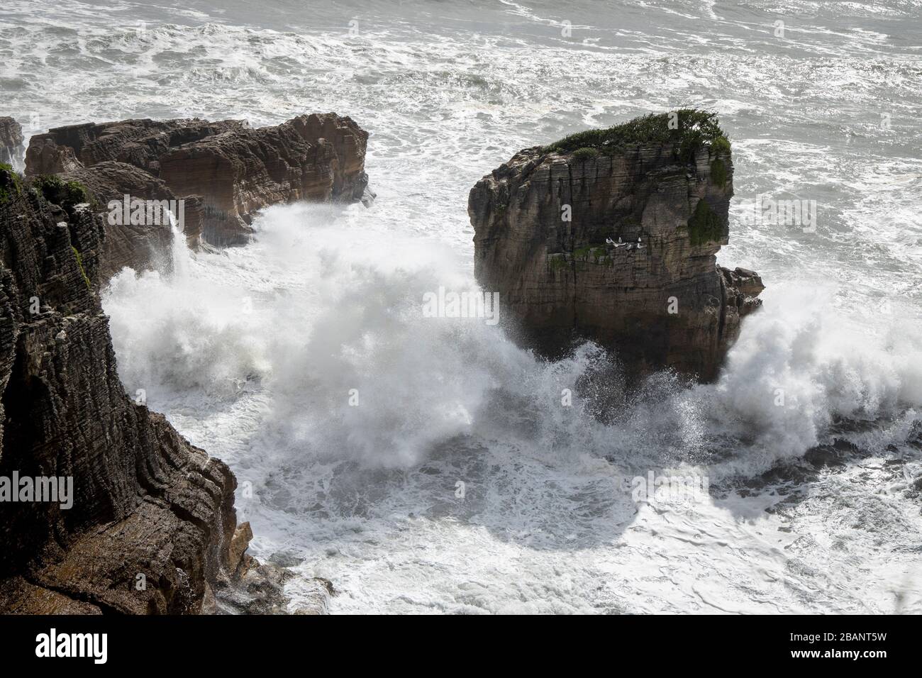 Beliebte Touristendestination Pancake Rocks am Dolmite Point in der Nähe von Punakaiki, Südinsel, Neuseeland. Stockfoto