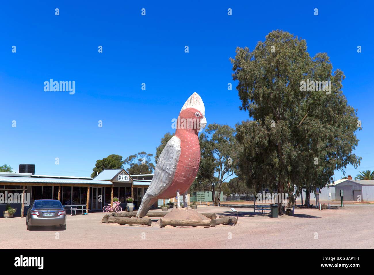 Das Denkmal der Big Galah-Statue, das vor der Bäckerei auf der Kimba-Eyre-Halbinsel in South Australia gefunden wurde Stockfoto