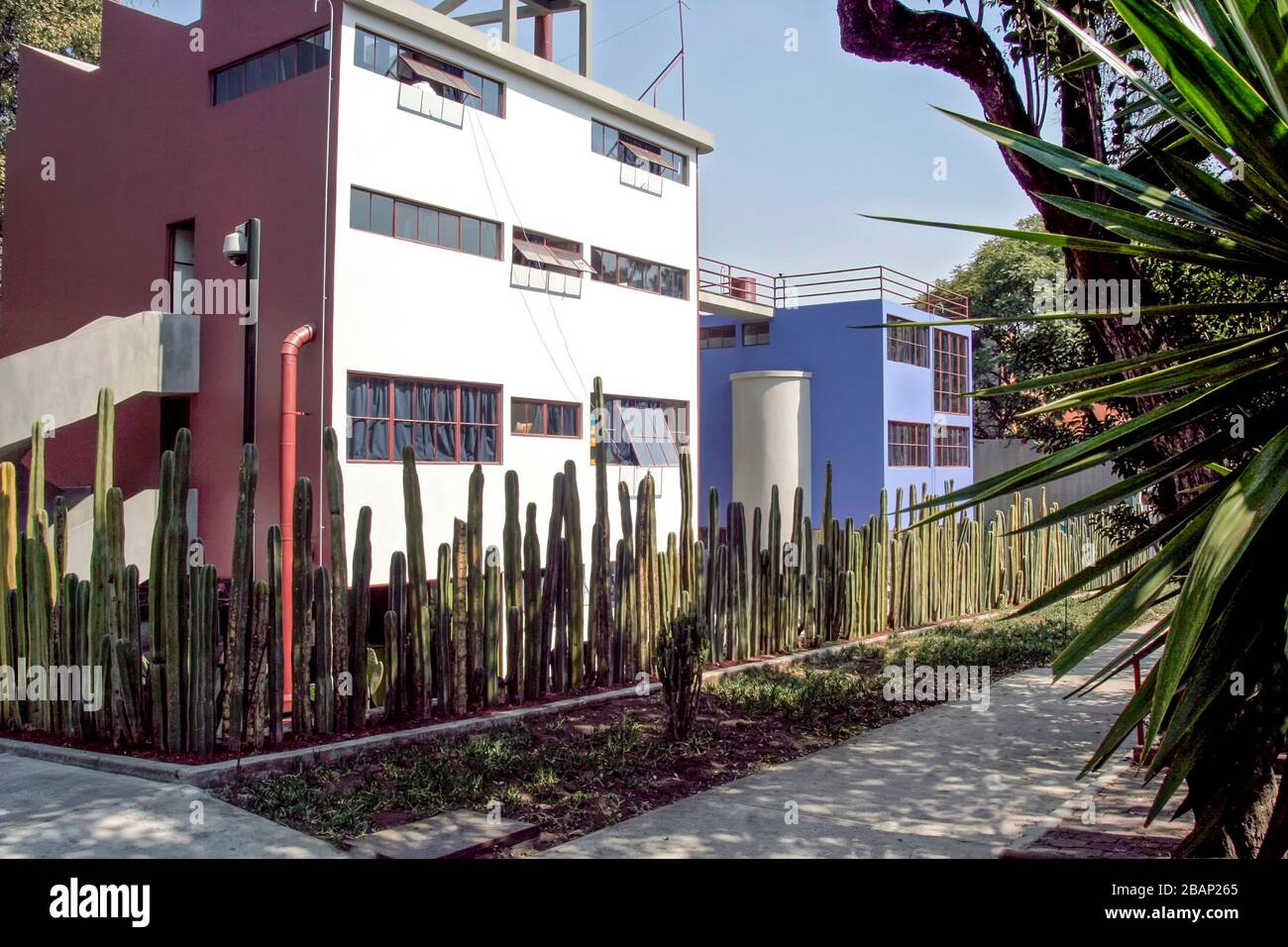 Diego Riviera's House and Museum in San Angel, Mexiko-Stadt, Mexiko (mit Frida Kahlos blauem Haus) Stockfoto