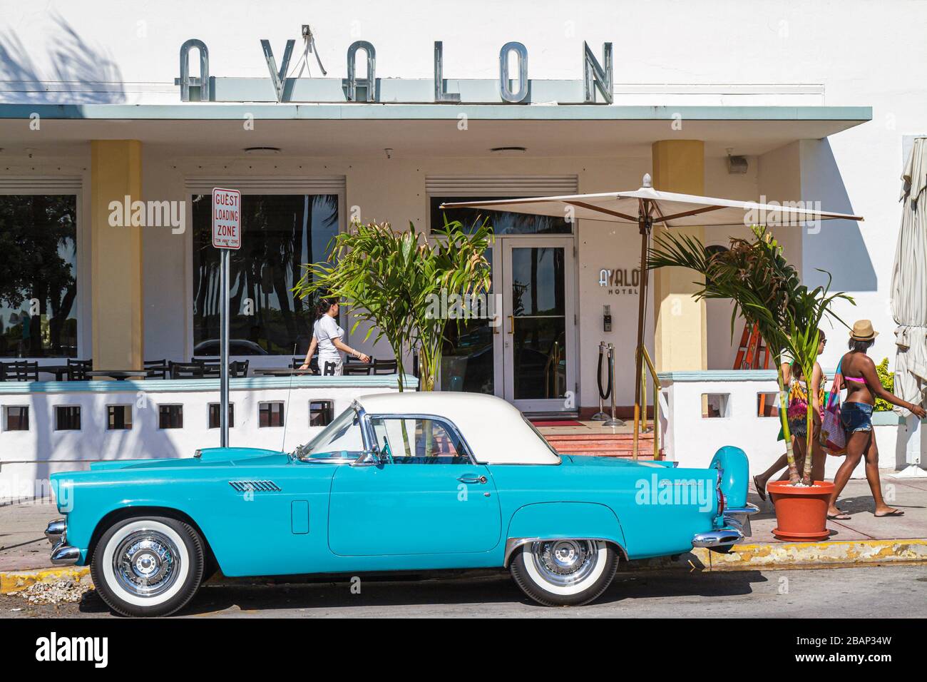 Miami Beach, Florida, Ocean Drive, Avalon, Hotelhotels Unterkunft Inn Motel Motels, Oldtimer, Ford Thunderbird, Besucher reisen Reisetourist Stockfoto