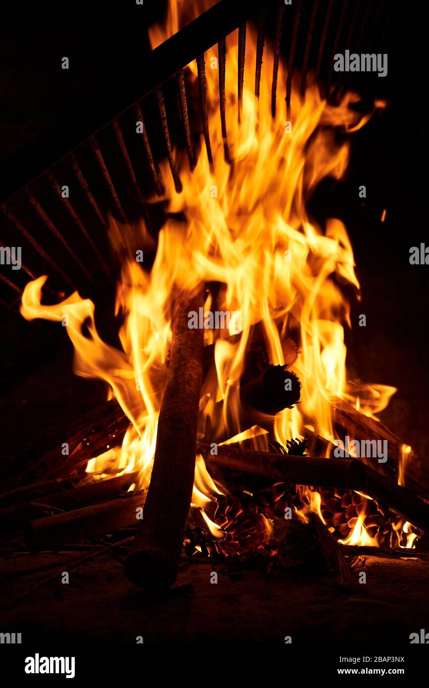 Ein Nahblick auf Brennholz und Pinekone, die auf dem Grill in Brand geraten Stockfoto