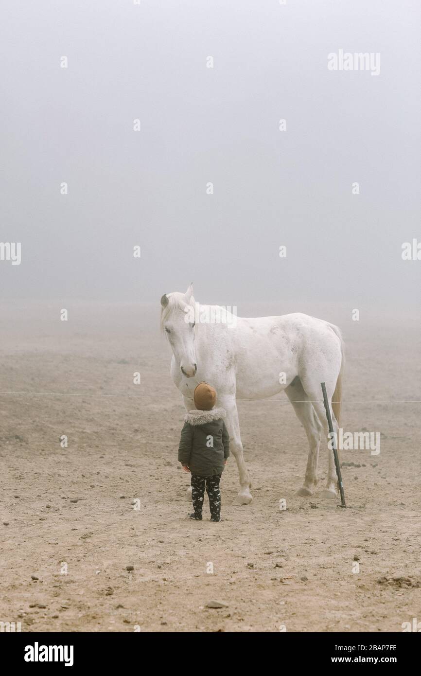 Kleines Kind, das im Nebel auf ein hohes weißes Pferd blickt Stockfoto