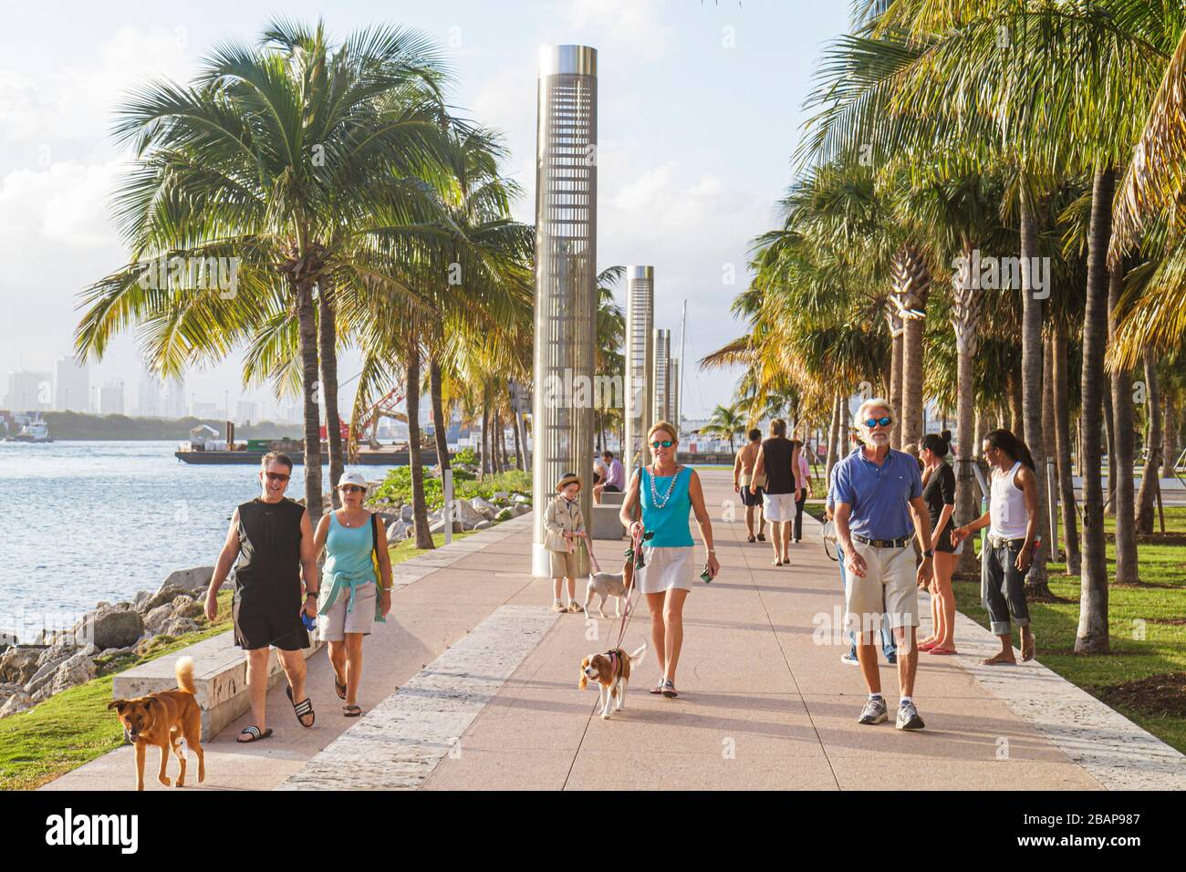 Miami Beach, Florida, South Pointe Park, Point, Turtle Tower, Government Cut, Erwachsene Erwachsene Frauen weibliche Dame, Hunde, Leine, Wandern, Mann Männer männliche Erwachsene Stockfoto