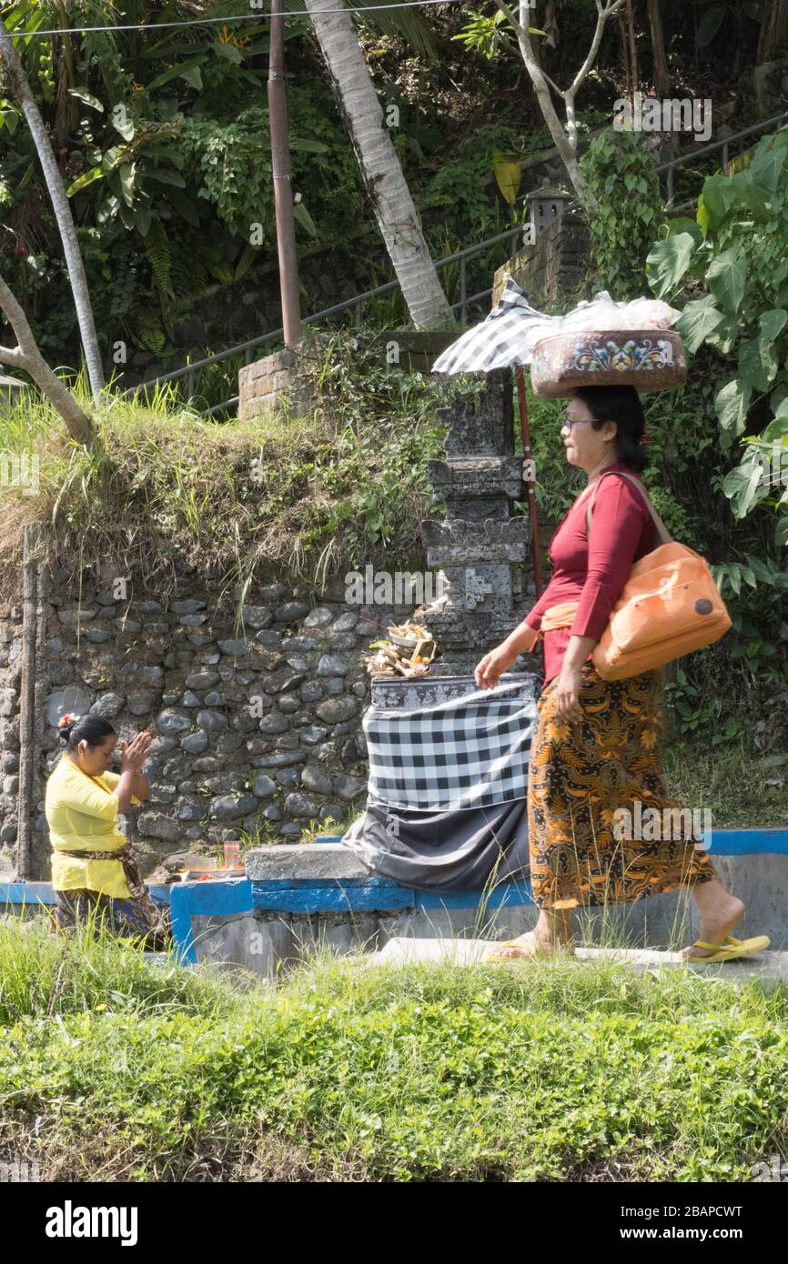 Frau in hellem Gelb gekleidet, die in einem kleinen Steintempel in einem Reisfeld am frühen Morgen betet, während Frau mit einem Korb weißer Blume vorbeigeht Stockfoto