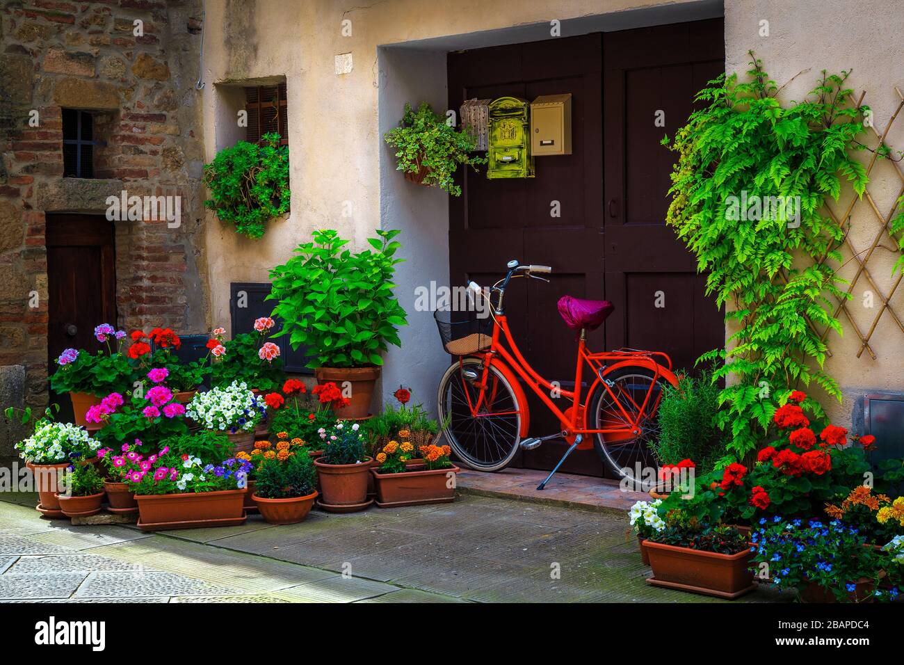 Rotes Fahrrad in der Tür mit bunten Blumen. Ornamentaler Eingang mit Blumentöpfen und blühenden Blumen auf der Straße, Pienza, Toskana, Italien, Europa Stockfoto