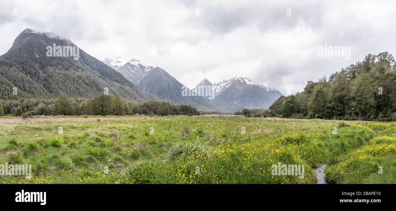 Landschaft mit grünen Wiesen im Bergtal in der Nähe von Knobs Flat, in hell bewölktem Licht im Fiordland Park, Southland, South Island, Neuseeland Stockfoto