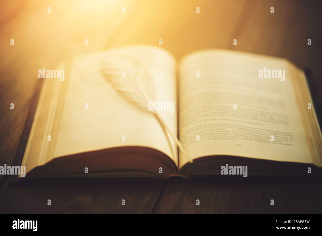 Ein altes Hardcover-Buch liegt offen auf einem Holzplankentisch und auf ihm liegt ein sehr leichter Stift, der von der Leuchte beleuchtet wird. Licht der Einsicht. Stockfoto Ein altes Hardcover-Buch liegt offen auf einem Holzplankentisch und auf ihm liegt ein sehr leichter Stift, der von der Leuchte beleuchtet wird. Licht der Einsicht. Stockfoto