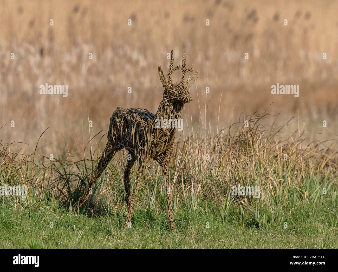 willow-skulptur, von Roe Deer in der Bridgwater Bay, Somerset. Stockfoto