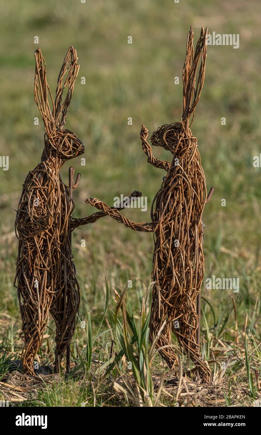 willow Sculpture, of Boxing Hares in Bridgwater Bay, Somerset. Stockfoto