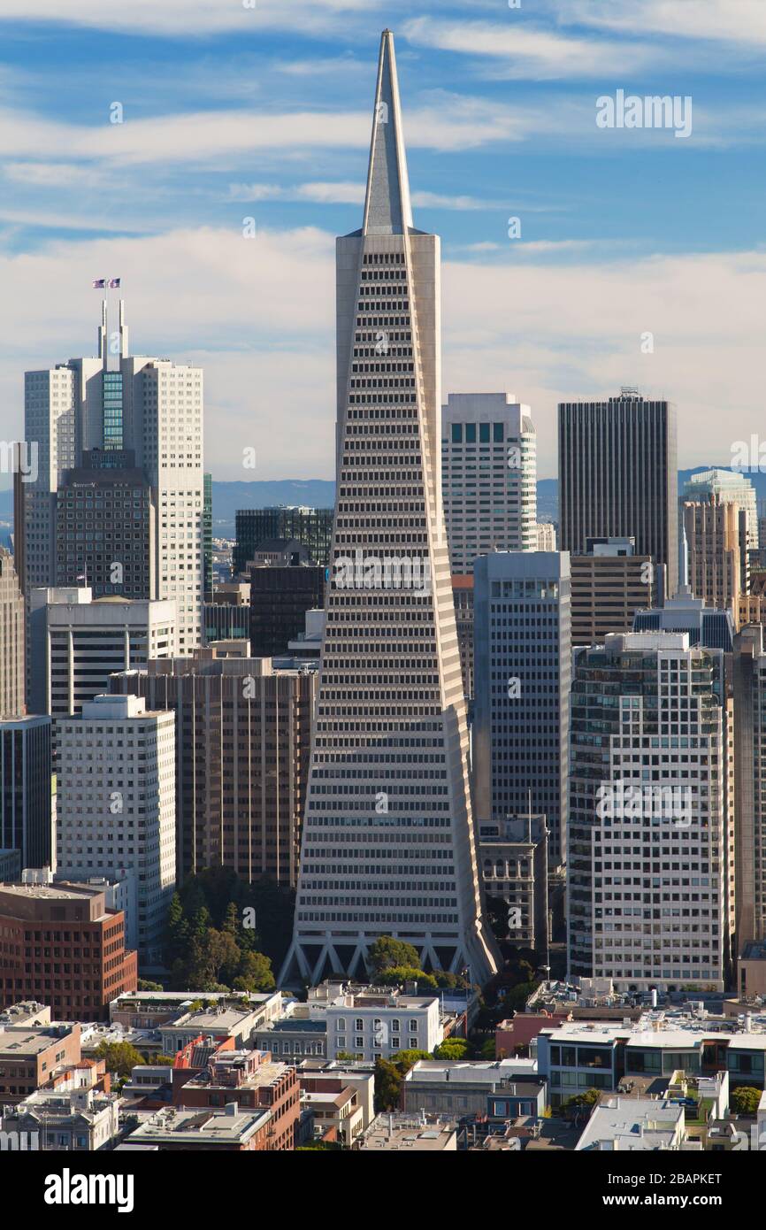 Transamerica-Pyramide von der Spitze des Coit Tower, San Francisco, Kalifornien, USA. Stockfoto