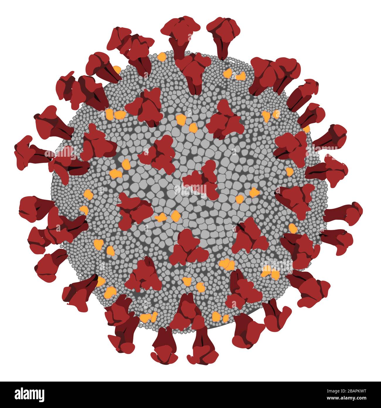 Abbildung: Coronavirus Kovid-19, epidemisches Virus. Stockfoto