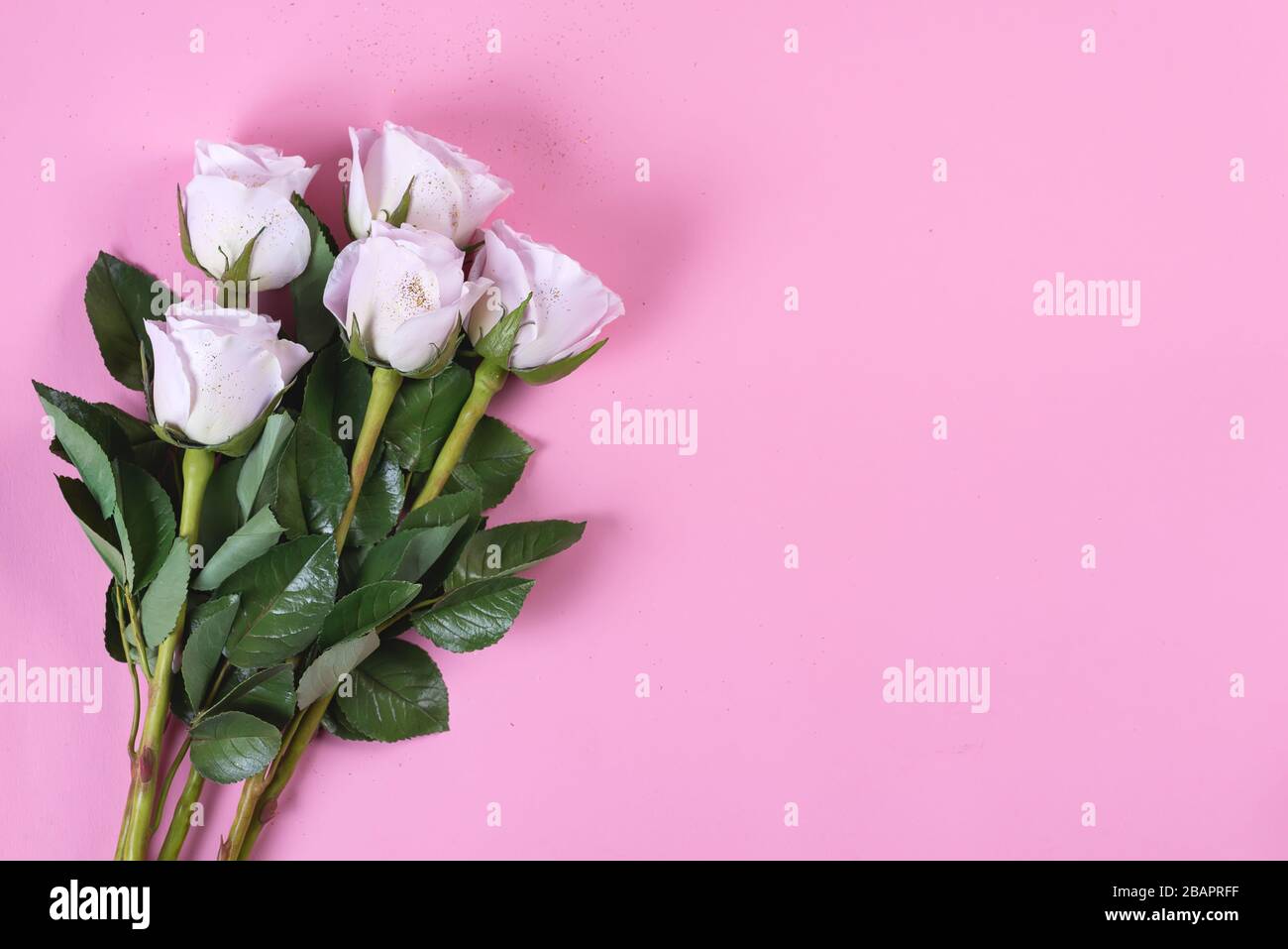 Rosa Rosen Blumen mit goldenem Glitter auf pinkfarbenem Grund, flach gelegt Stockfoto