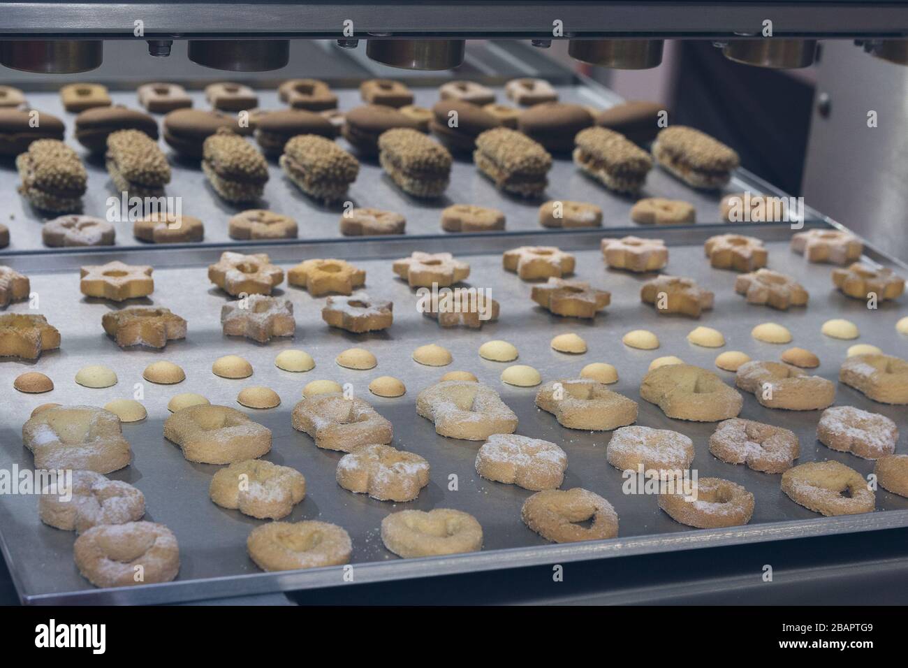 Kuchen auf automatischem Förderband oder Linie, Backprozess in der Süßwarenfabrik. Lebensmittelindustrie Stockfoto