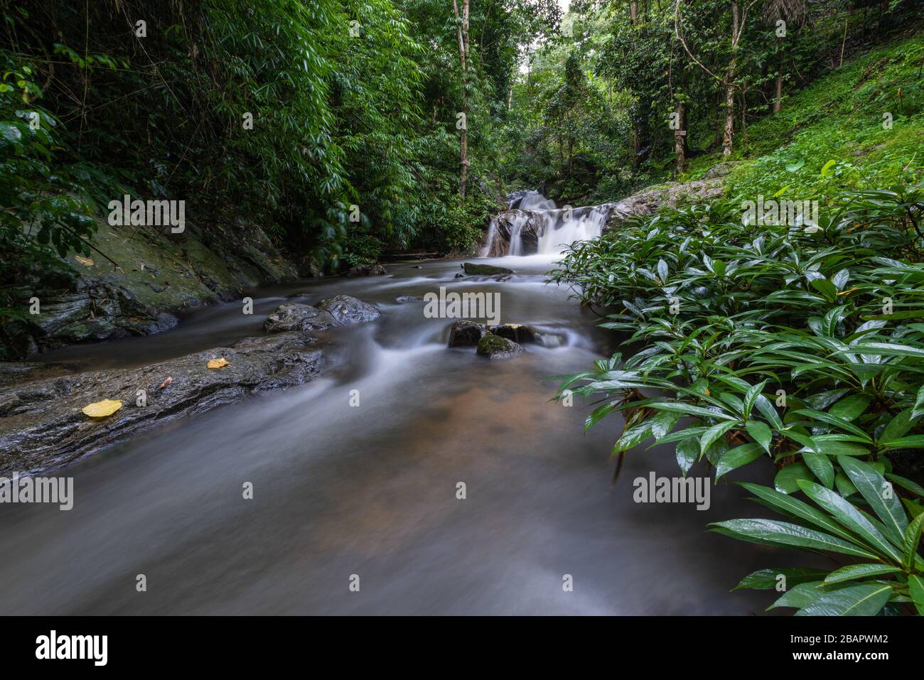 Mae wong Wasserfälle nördlich in thailand, Chiangmai, Thailand. Stockfoto