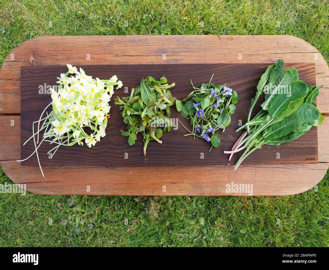 Blumen- und Wildgemüse, Republik Irland, Europa Stockfoto