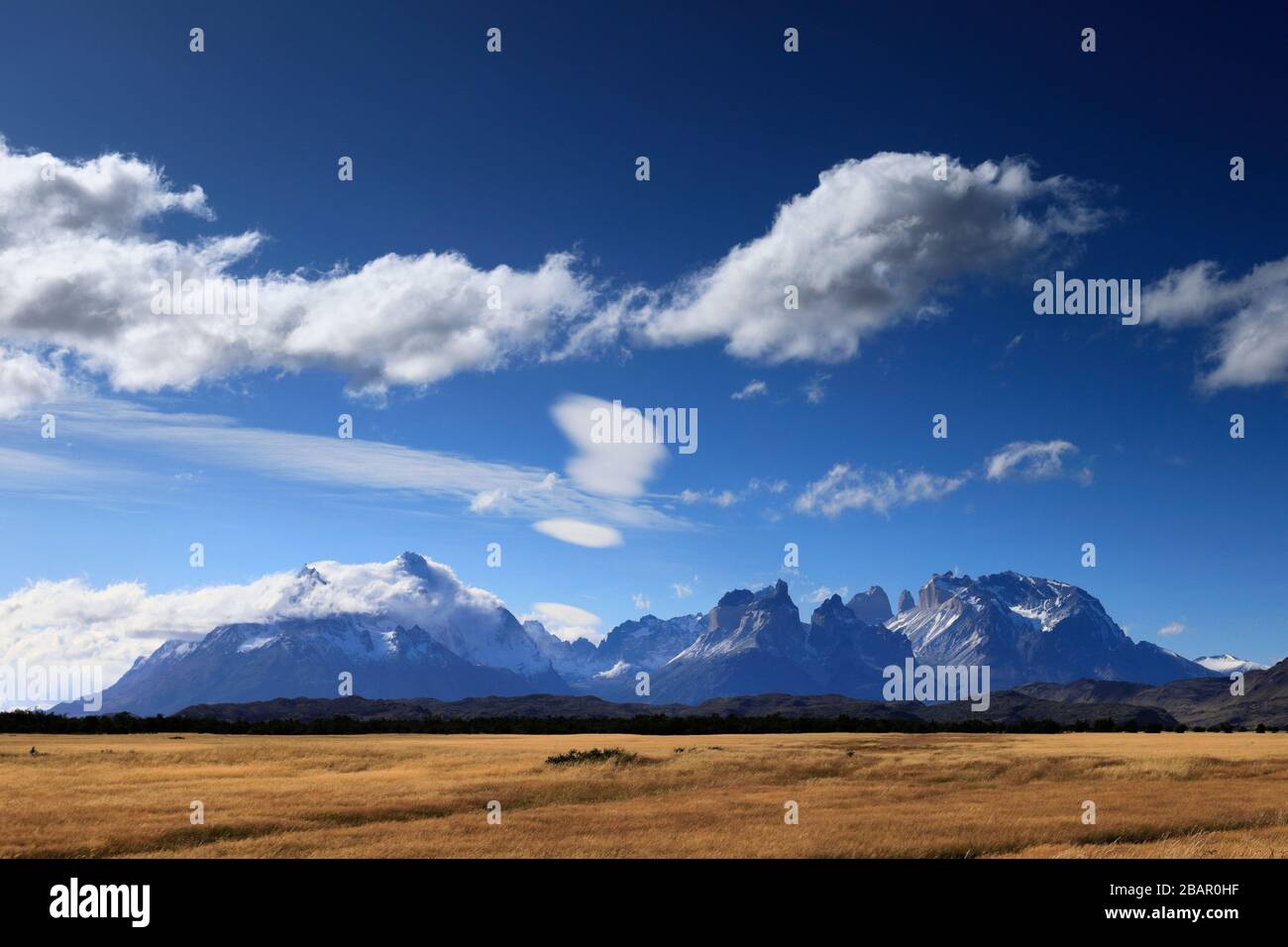 Blick auf den Cerro Paine Grande und die Cordillera de Paine, Torres de Paine, Magallanes Region, Patagonien, Chile Stockfoto