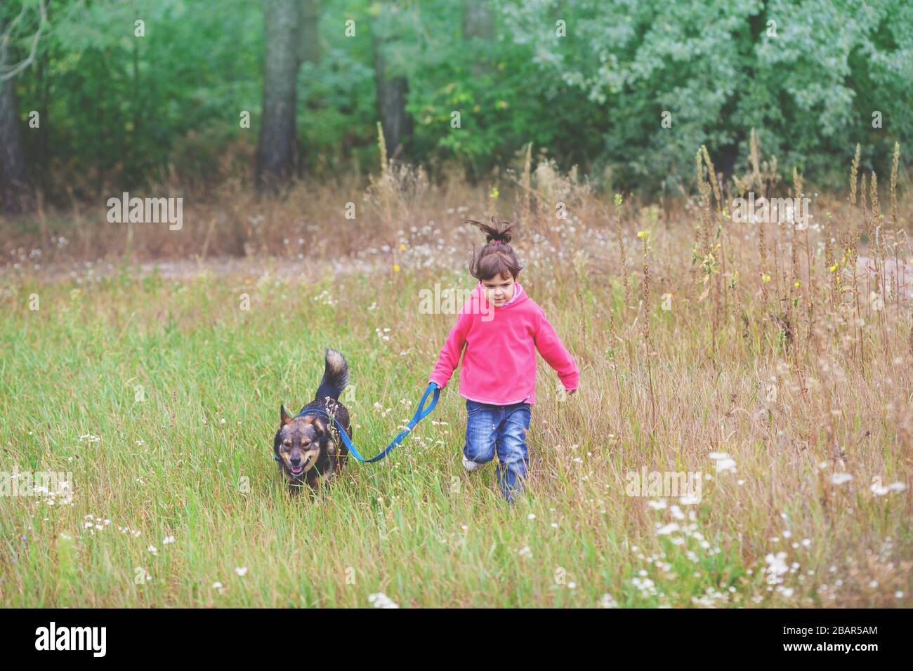 Kleines Mädchen, das mit einem Hund im Freien im Park läuft und den Hund an der Leine hält Stockfoto