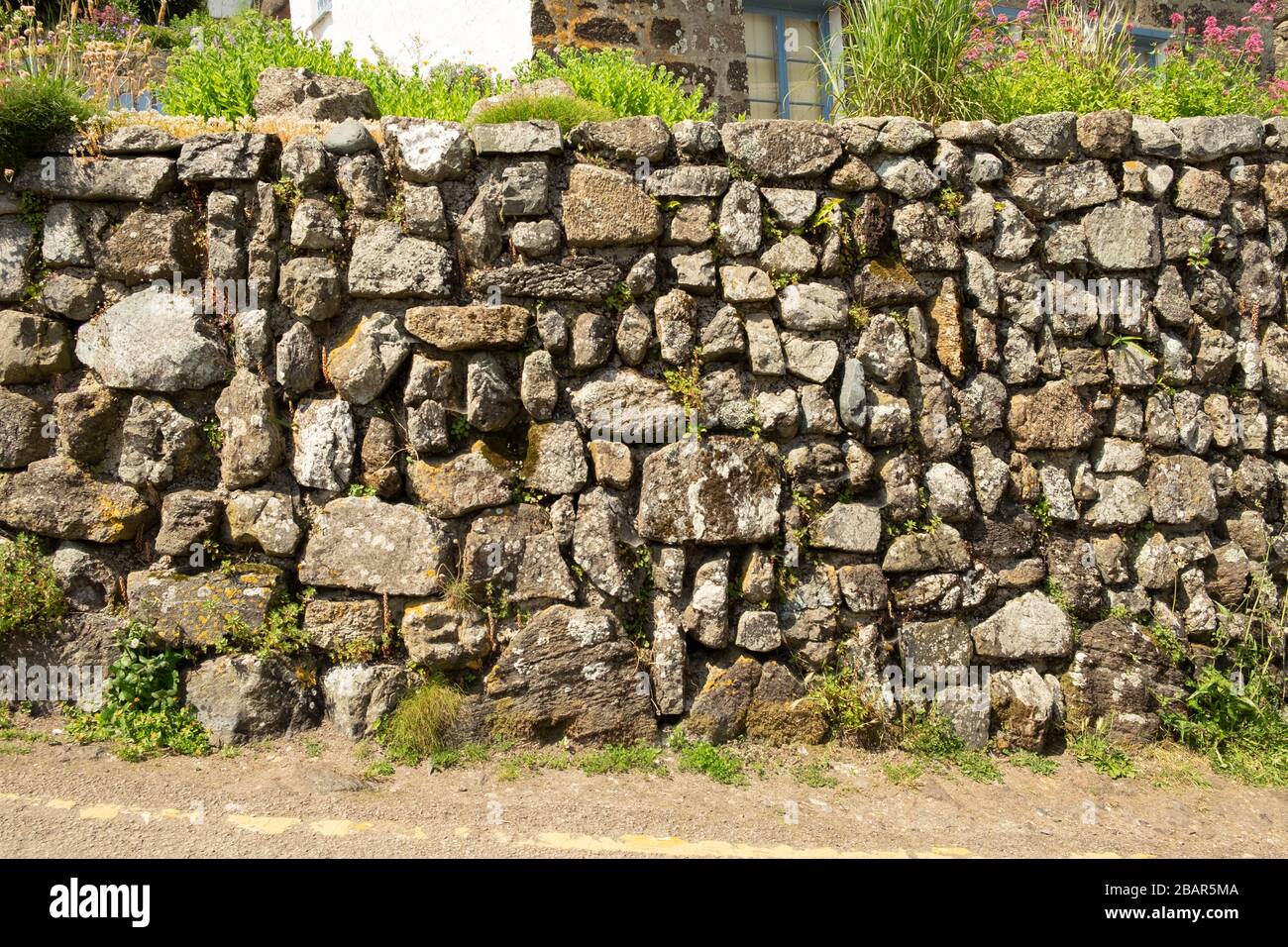 Alte steinerne Stützmauer mit unterschiedlich geformten Steinen, Flechten, Pflanzen und Moos, Cornwall, England Stockfoto