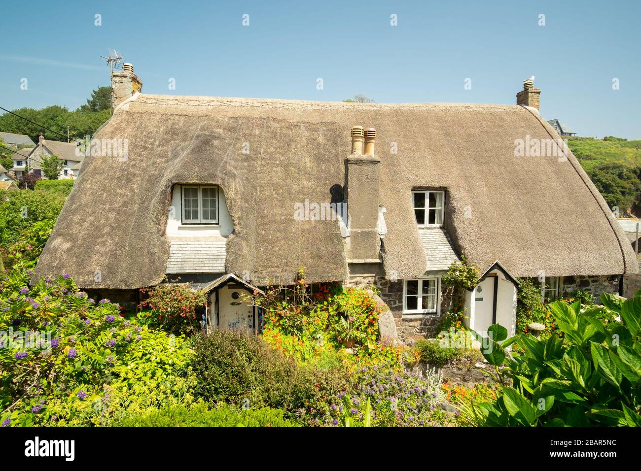 "Old Dolphin Cottage" und sein Nachbar, traditionelle strohgedeckte Cottages in dem kleinen malerischen Fischerdorf Cadgwith, Cornwall, England Stockfoto