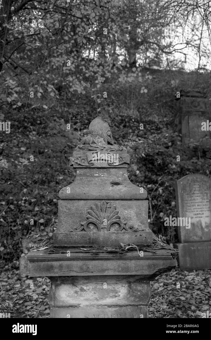 Glasgow, Schottland, Großbritannien. November 2019: Die Glasgower Necropolis, die sich in der Nähe des Stadtzentrums befindet. Stockfoto