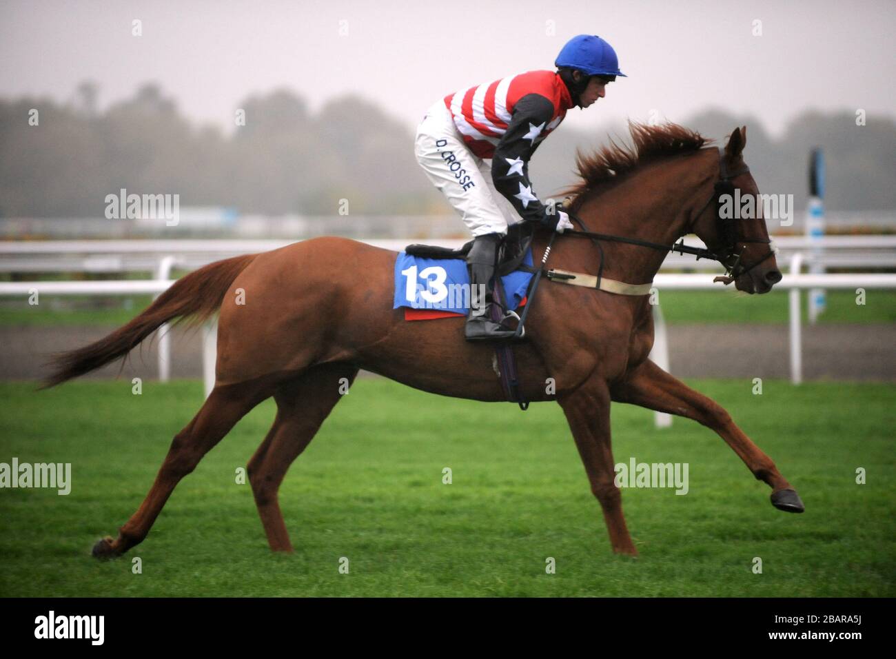 Tri-Nationen, die von David Crosse geritten werden, werden für William Hill - The Home of Betting Handicap Chase Posten Stockfoto