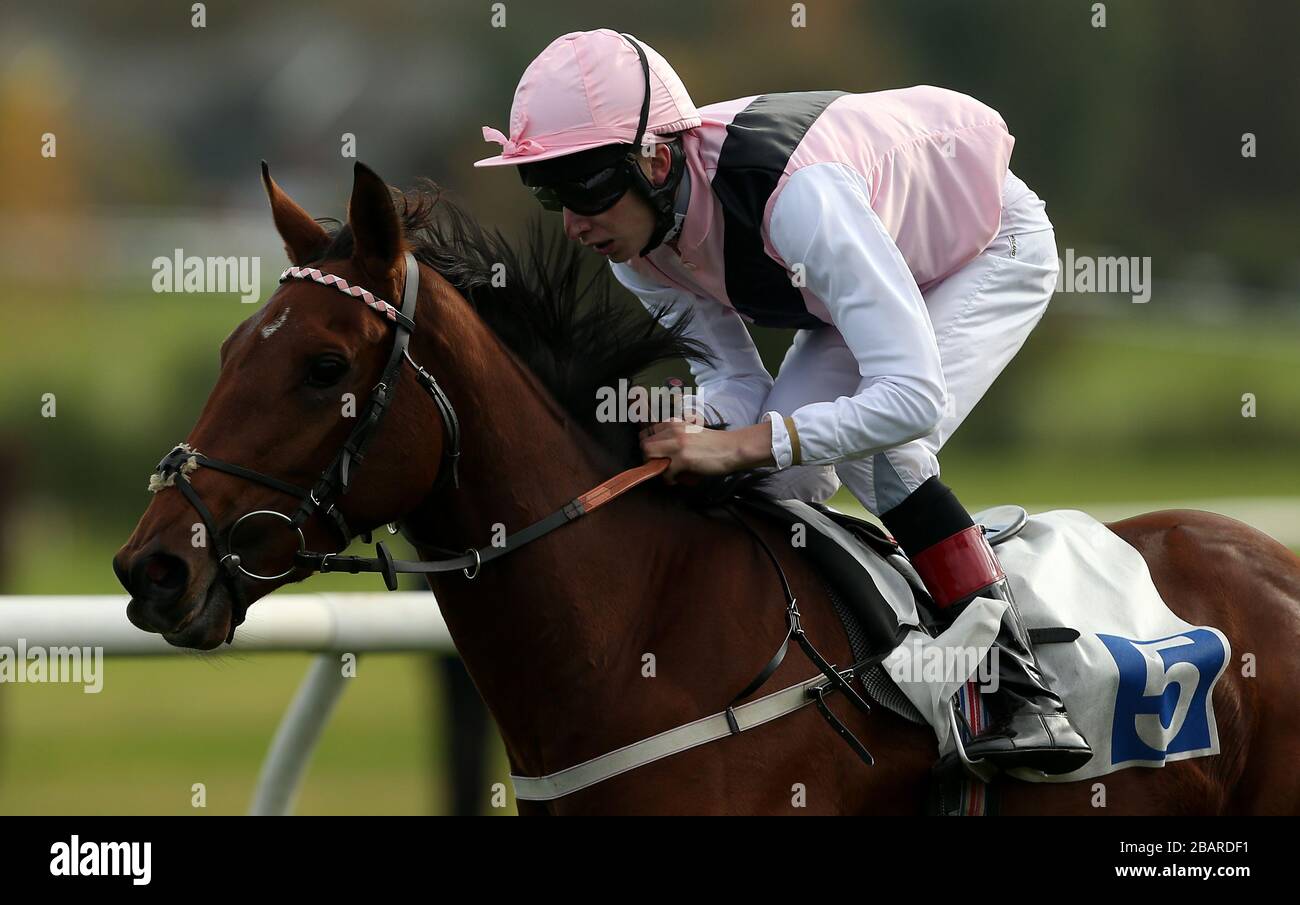 Boonga Roogeta, der vom Jockey Luke Morris geritten wird, gewinnt die Stoat, die Einsätze auf der Rennbahn Leicester verkauft Stockfoto