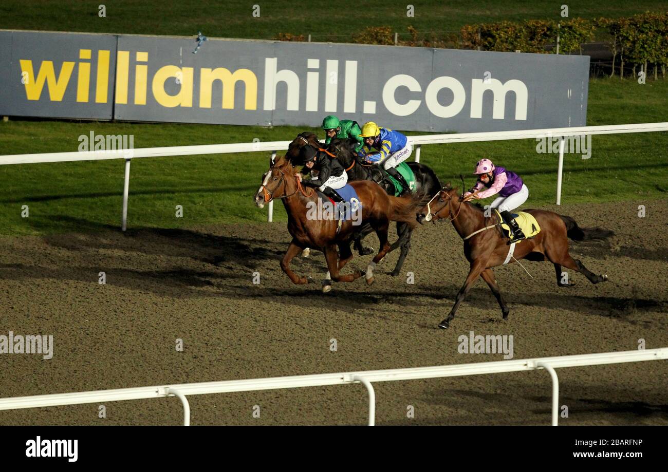 Action von Betdaq Mobile Apps Maiden auf dem All Weather Track auf der Kempton Racecourse Stockfoto