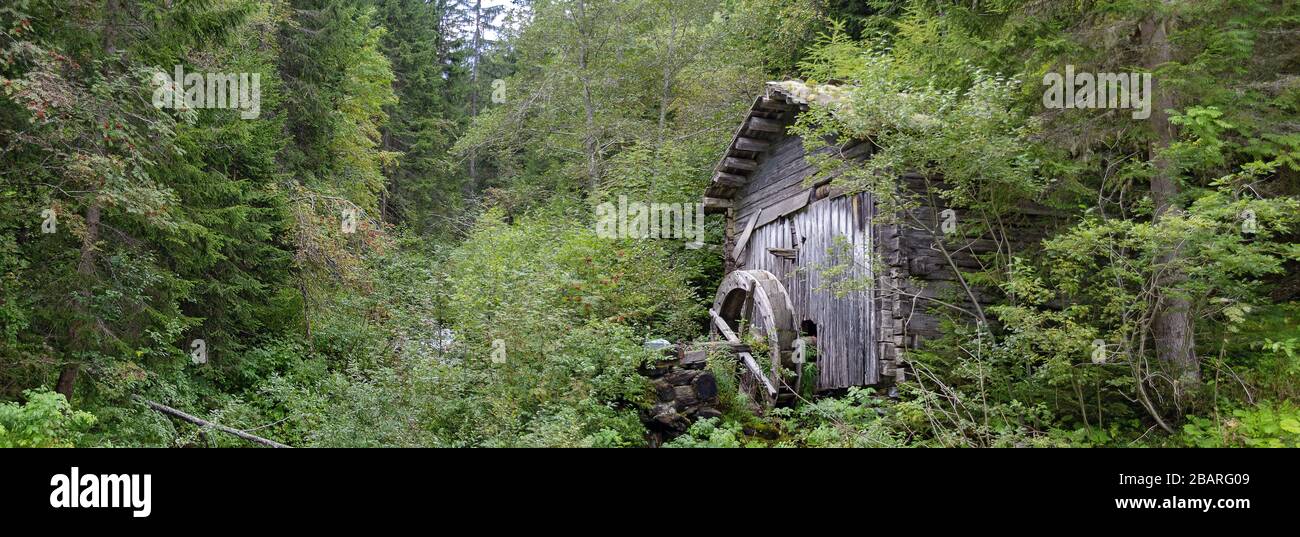 Ehemalige alte Holzmühle mit Wasserrad in einem dichten Wald in Osttirol, Österreich Stockfoto