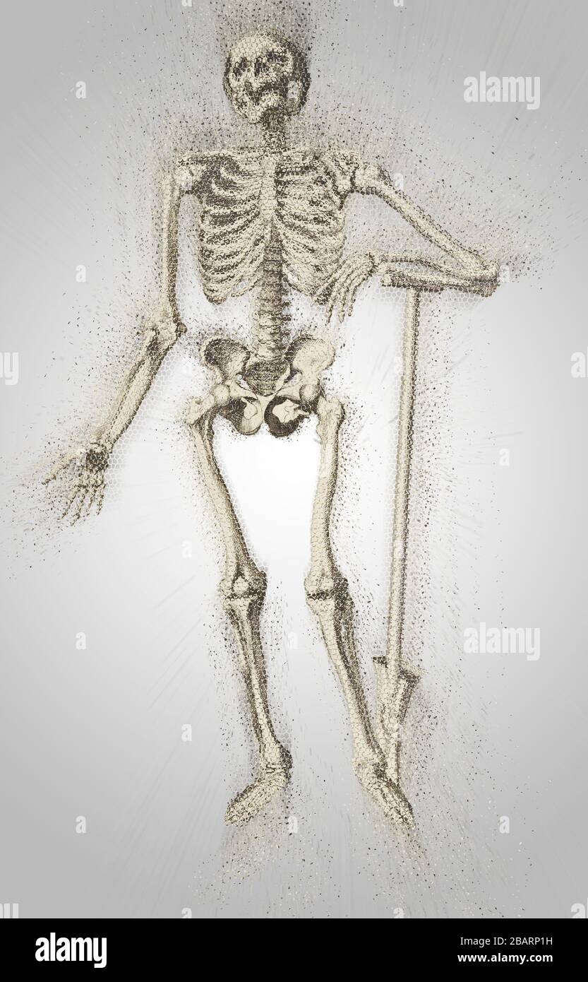 Digital verbessertes Bild eines Holzschnittdrucks mit Ganzkörper-Skelett-Motiv auf der Vorderseite des männlichen Körpers bei der Eröffnung des in ITA gedruckten Buches "Notomie di Titiano" für die Anatomie des Menschen Stockfoto