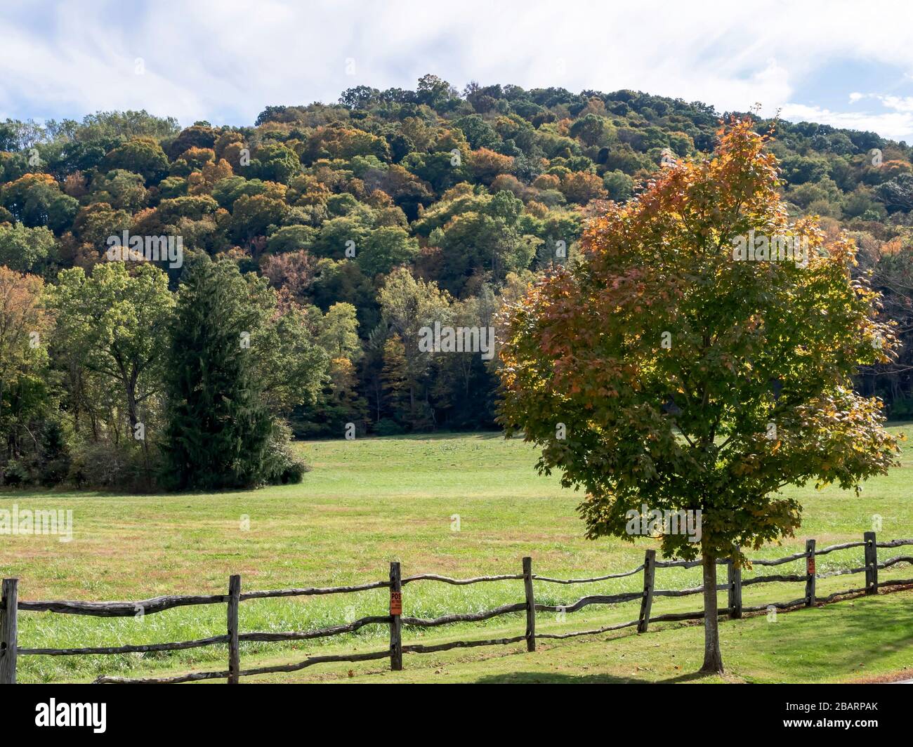 Fallbäume in den Laurel Highlands von Pennsylvania mit einem orangefarbenen grünen Baum im Vordergrund mit einem braunen, riechigen Zaun und vielen anderen tre Stockfoto