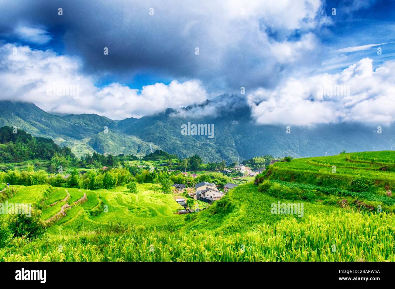 Wolken, die im Sommer über der Landschaft der Yunhe-Wolke-Reisterrassen in der Provinz Zhejiang in China hängen. Stockfoto