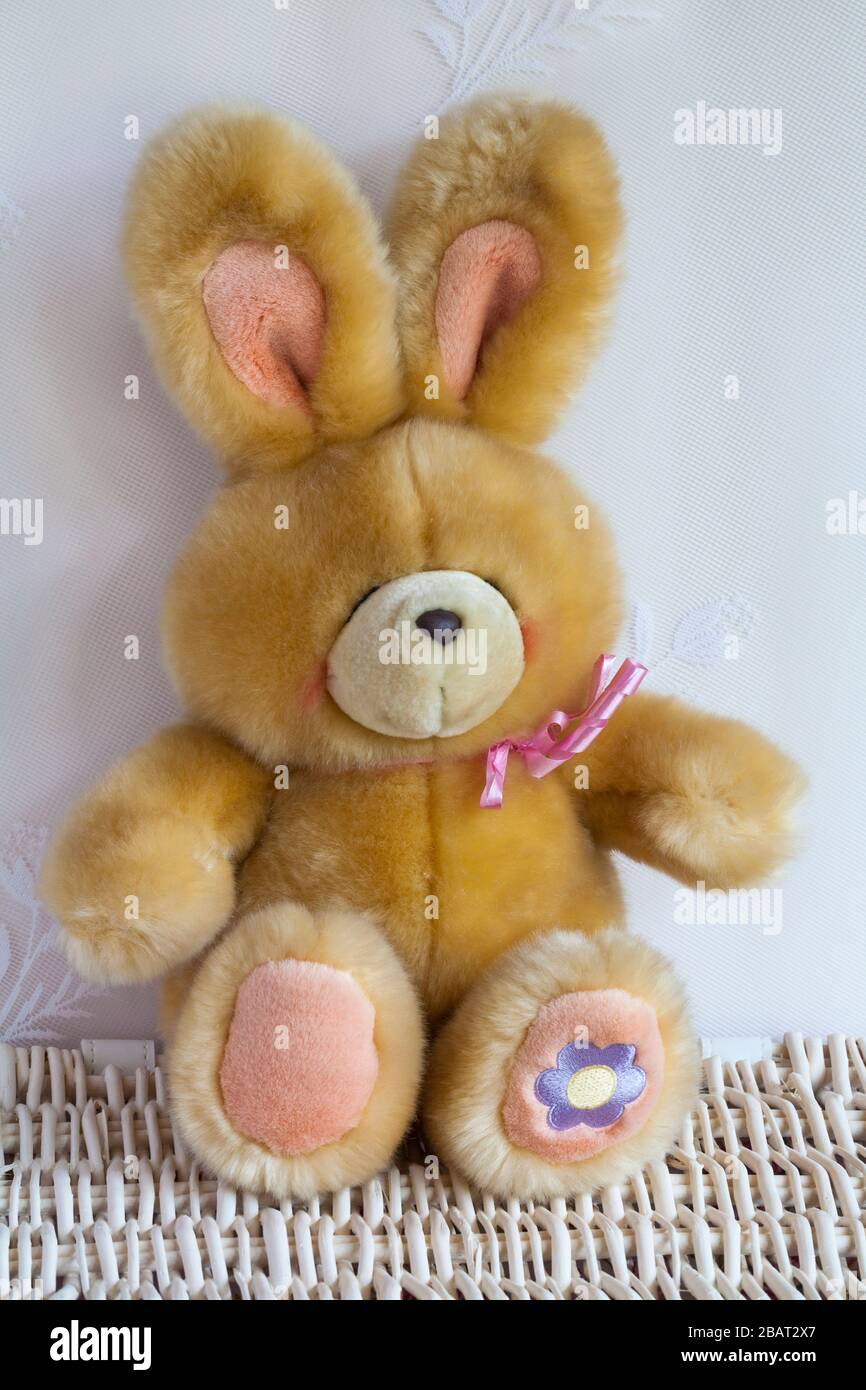 Forever Friends niedliches buntes Kaninchen weiches kuscheliges Spielzeug, das auf dem Korbkorb sitzt Stockfoto