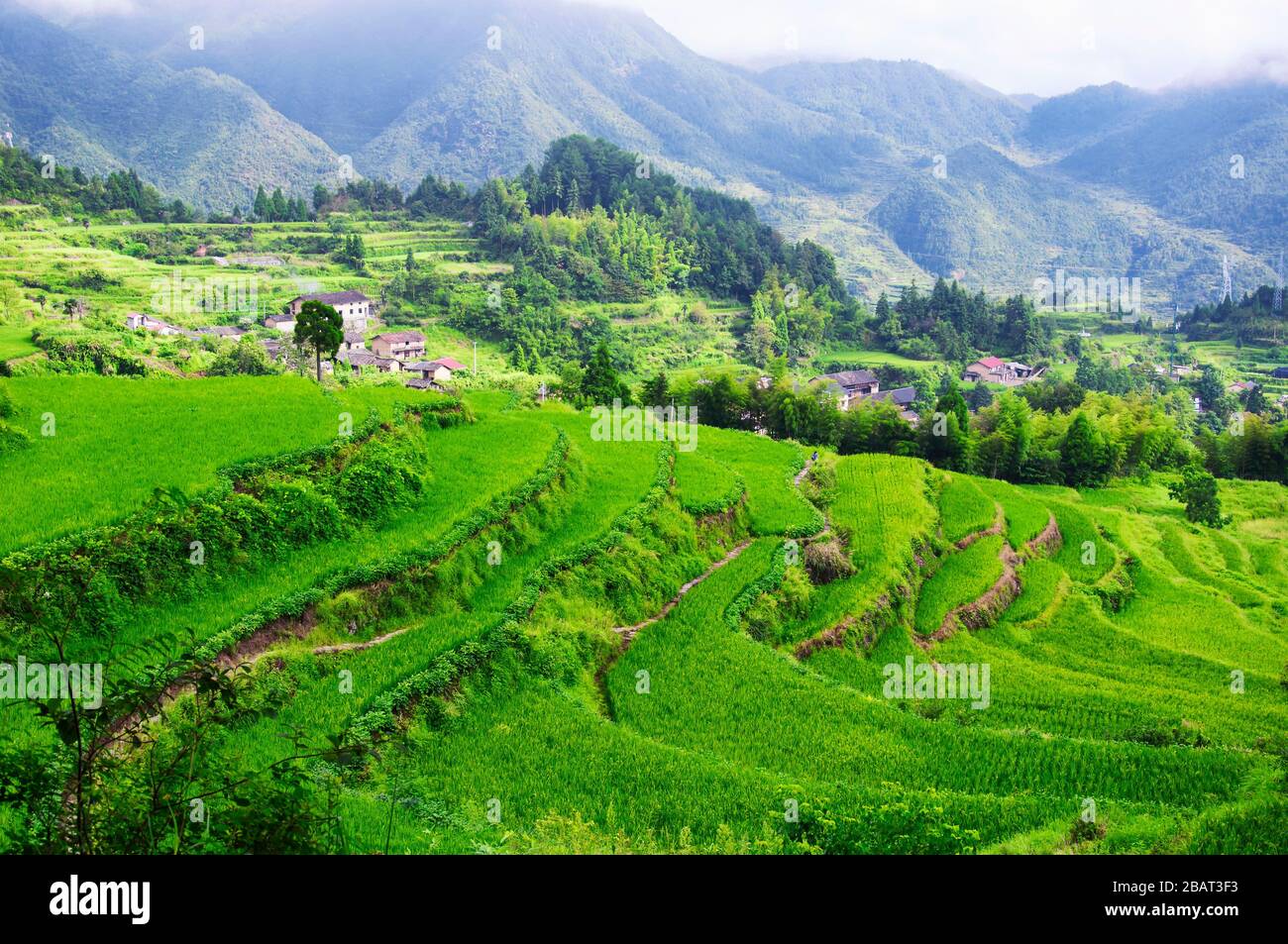 Die Yunhe Cloud Rice Terraces und die Berglandschaft China Stockfoto