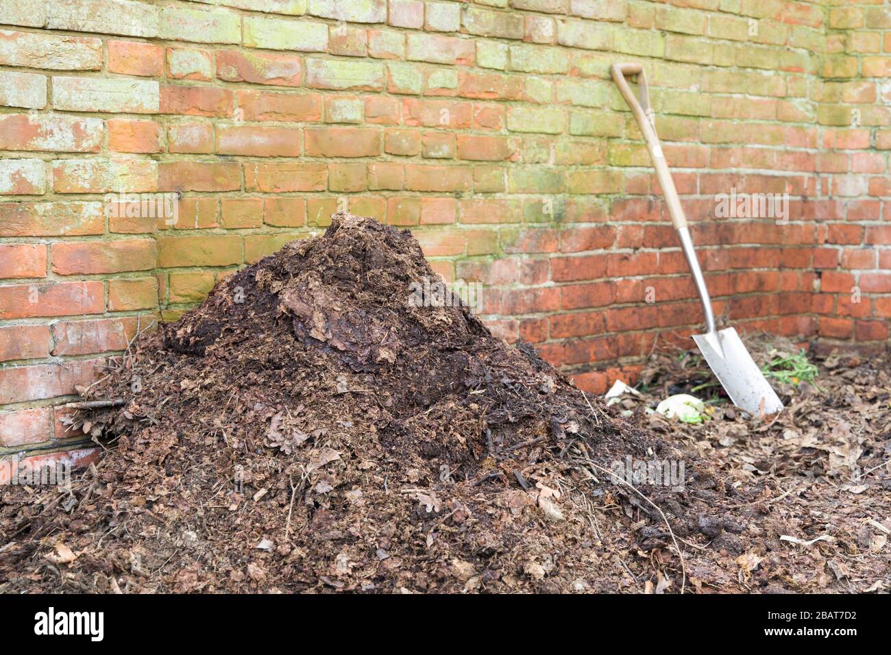 Hausgemachter Gartenkompost-Haufen mit Blattform für die Verwendung als Mulch oder organischer Dünger, Großbritannien Stockfoto