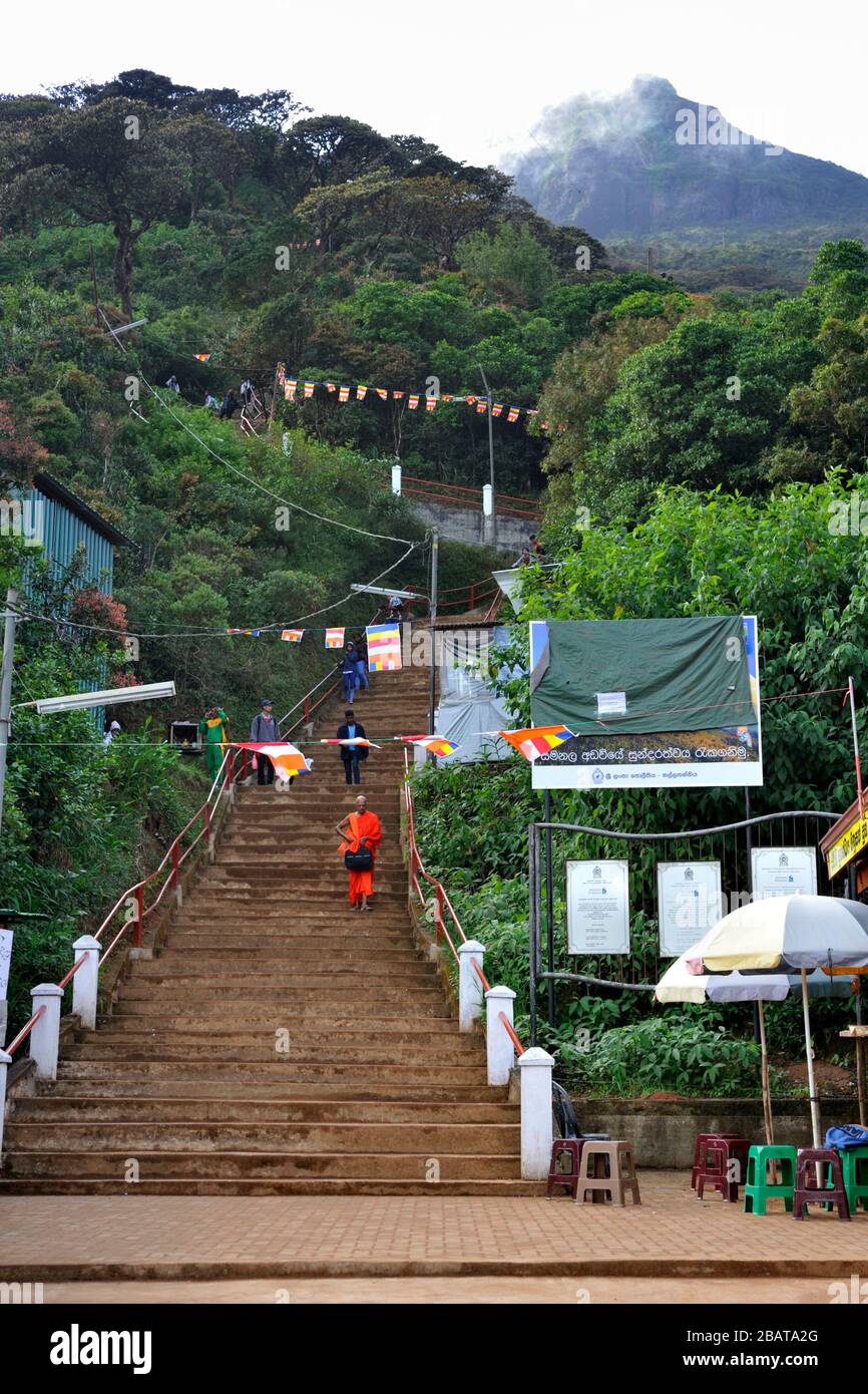 Sri Lanka, Adams Gipfel, Pilgerweg zum Gipfel Stockfoto