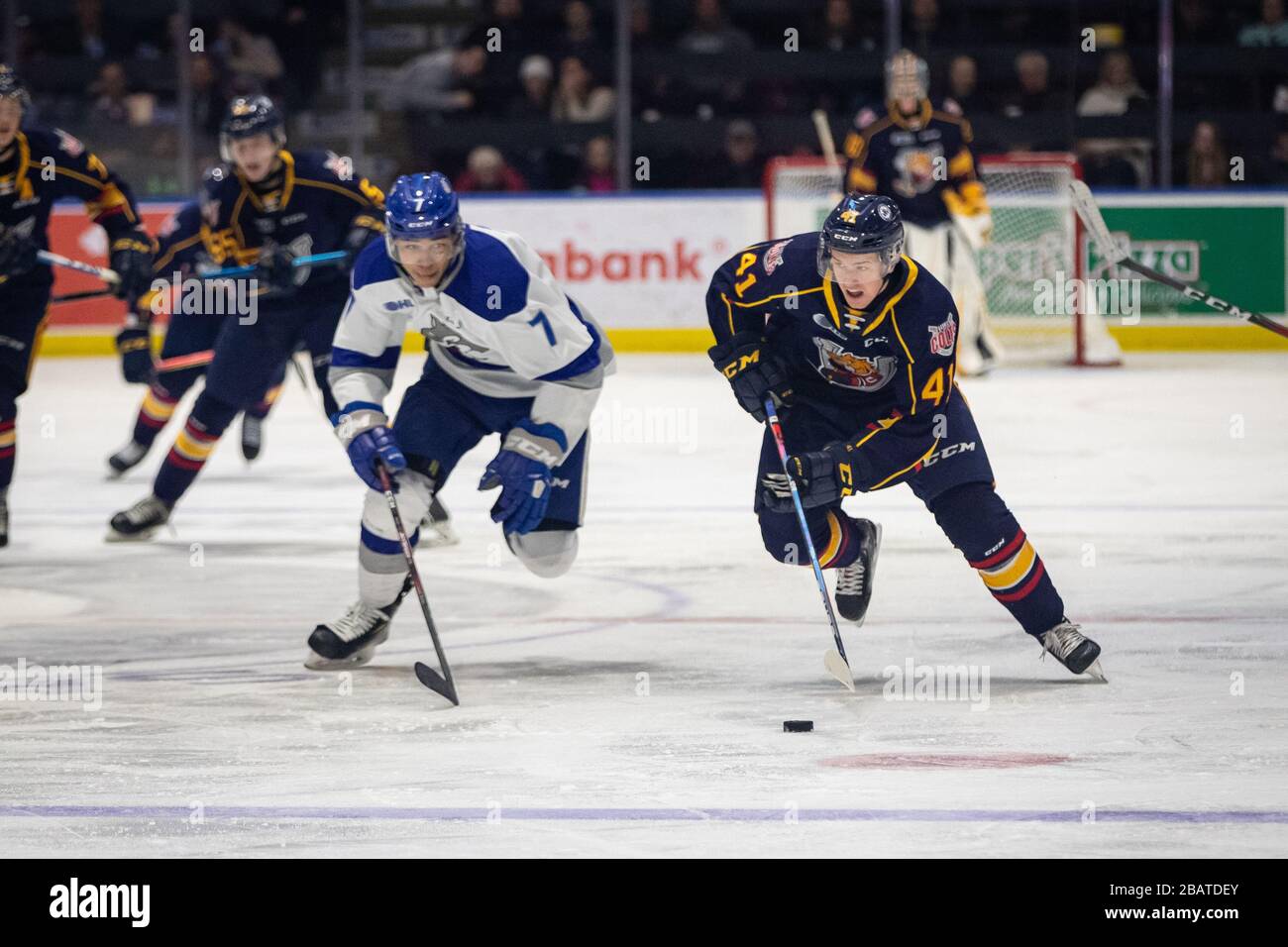 Kanadisches Eishockey Stockfoto