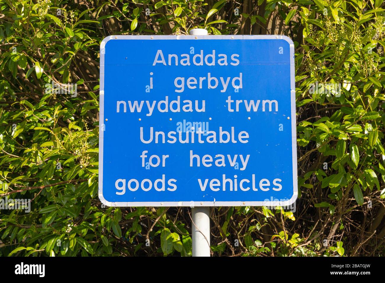 Singnpost, geschrieben auf Englisch und Walisisch, sagte "ungeeignet für Schwerlastfahrzeuge", Felindre Farchog, in der Nähe von Newport. Pembrokeshire, Wales. GROSSBRITANNIEN Stockfoto