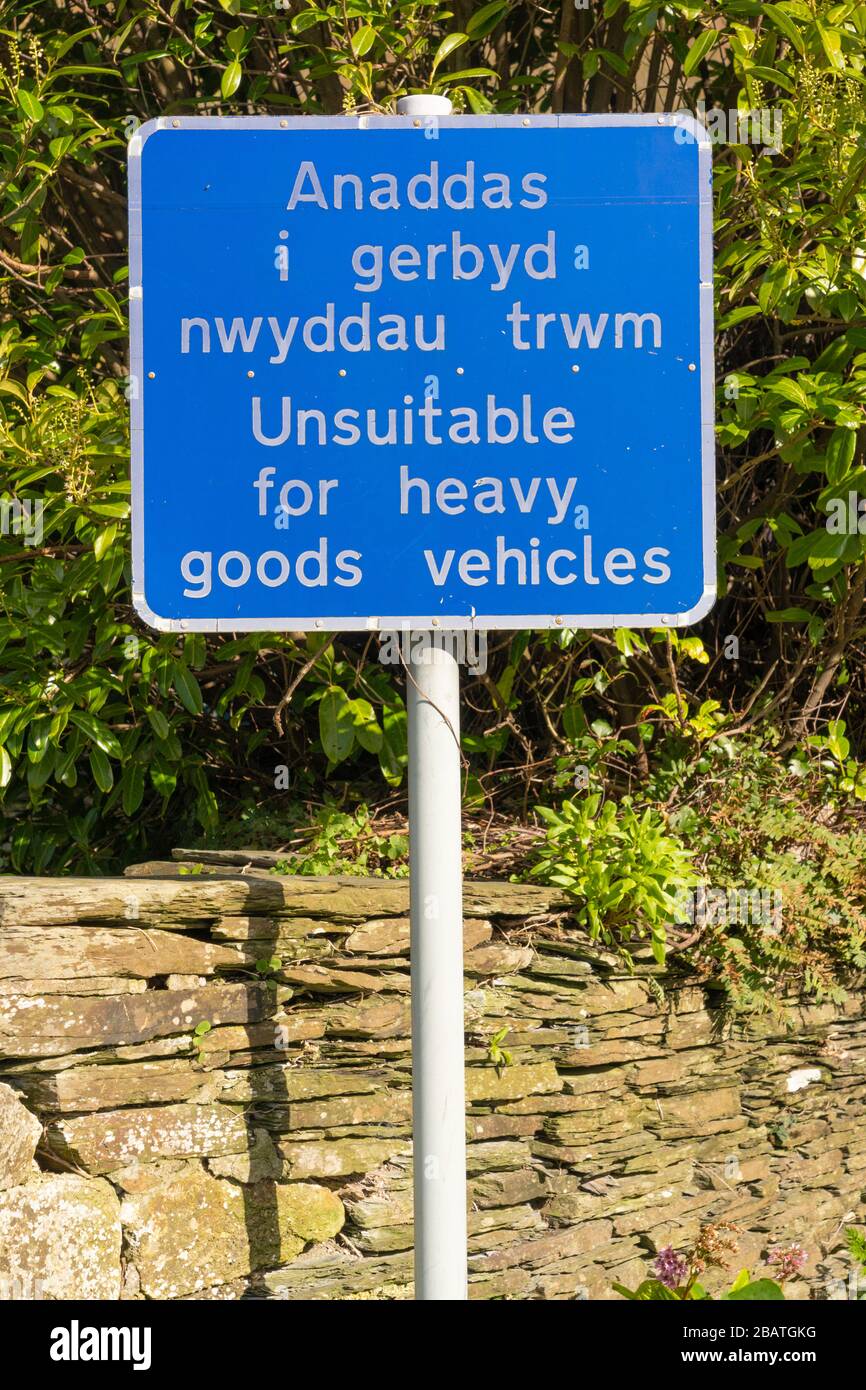 Singnpost, geschrieben auf Englisch und Walisisch, sagte "ungeeignet für Schwerlastfahrzeuge", Felindre Farchog, in der Nähe von Newport. Pembrokeshire, Wales. GROSSBRITANNIEN Stockfoto